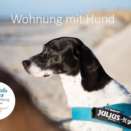 Apartamento Haus Jungnamen Whg. 7